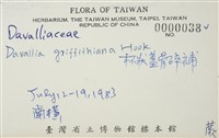 杯狀蓋陰石蕨藏品圖，第3張